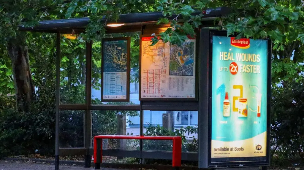 Bus stop surrounded by greenery