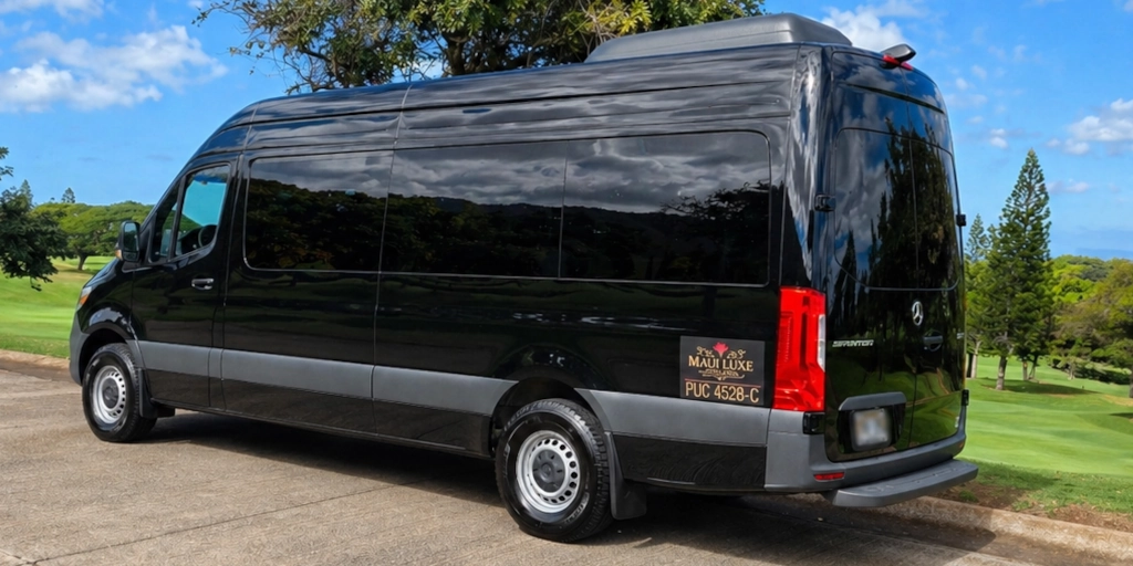 Side and rear view of the Maui Luxe Mercedes Sprinter van parked on a scenic Maui roadway.