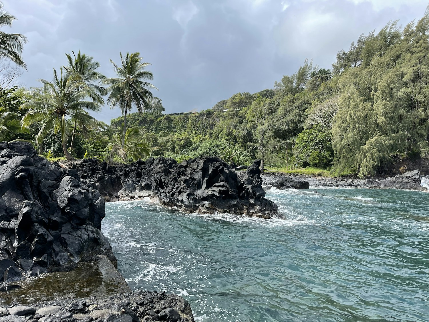 Rocky Maui coast and trees photographed along the Road to Hana