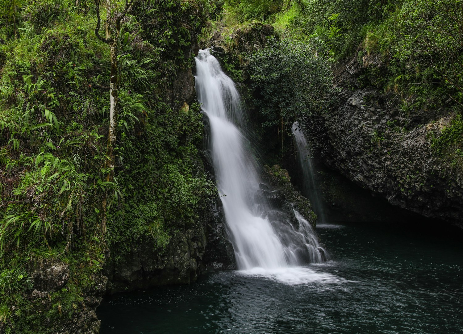 Waterfall surrounded by green trees beside the Road to Hana on Maui
