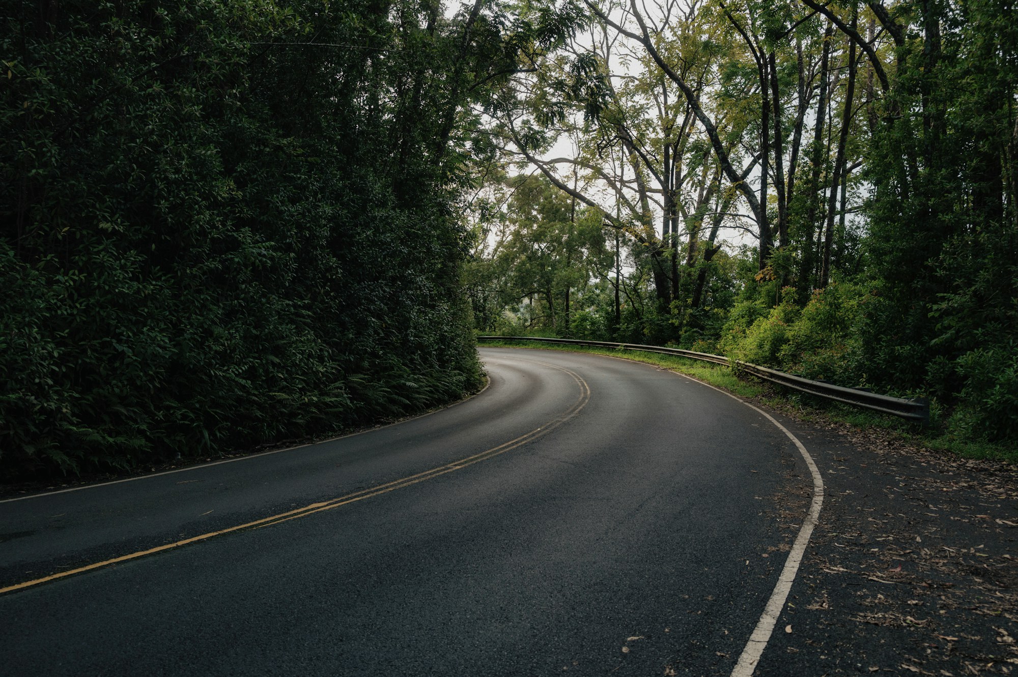 Winding road through lush forest on the Road to Hāna in Maui